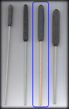 Black Magic Cattail - Small