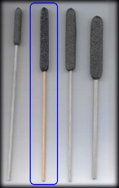Black Magic Cattail - Square